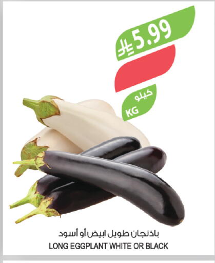 Eggplant available at المزرعة in مملكة العربية السعودية, السعودية, سعودية - حفر الباطن