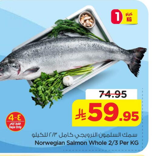 available at نستو in مملكة العربية السعودية, السعودية, سعودية - الأحساء‎