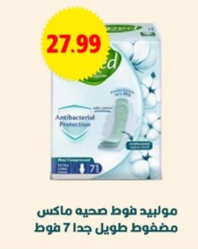 available at يورومارشيه in Egypt - القاهرة