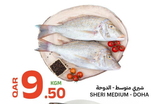 available at البلدي اليوم in قطر - الدوحة