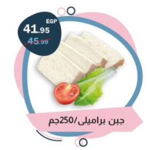 available at فتح الله in Egypt - القاهرة