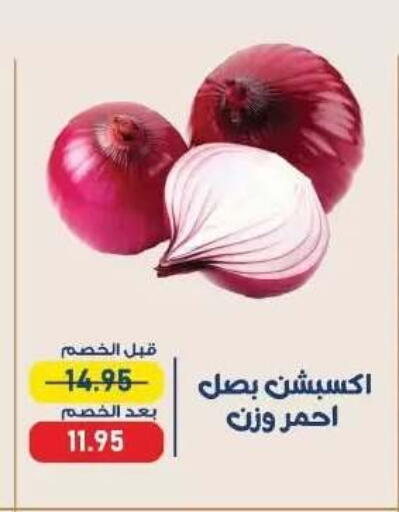 available at اكسبشن ماركت in Egypt - القاهرة