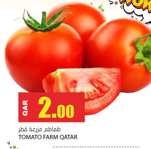 Tomato from Qatar available at جراند هايبرماركت in قطر - الدوحة