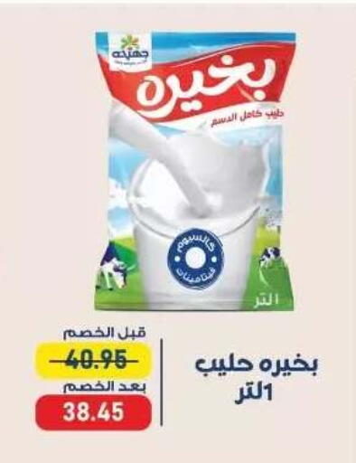 available at Exception Market in Egypt - Cairo