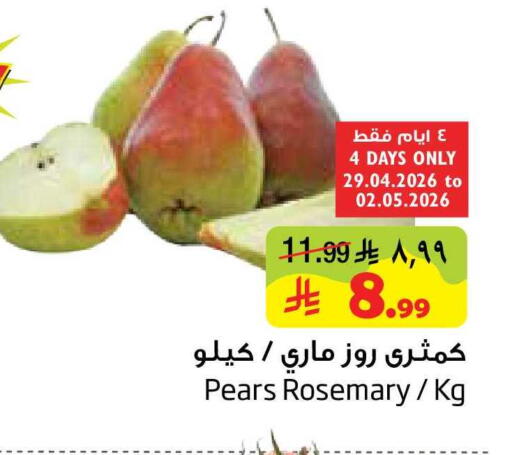 Rosemary available at Layan Hyper in KSA, Saudi Arabia, Saudi - Al Khobar