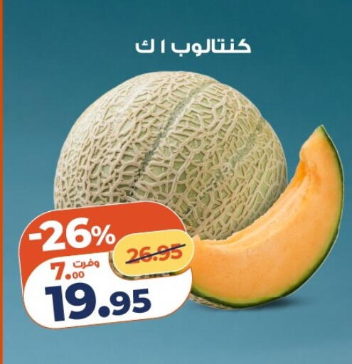 available at كازيون in Egypt - القاهرة
