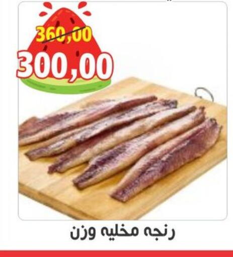 available at أولاد حسان in Egypt - القاهرة