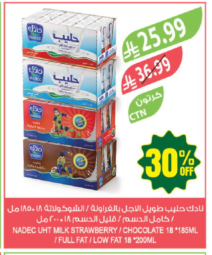 Strawberry available at Farm  in KSA, Saudi Arabia, Saudi - Tabuk