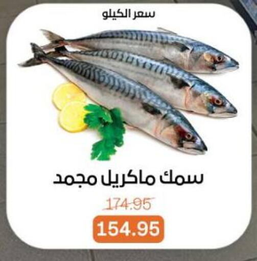 available at Beit El Gomla in Egypt - Cairo