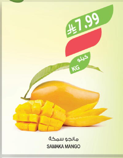 Mango available at Farm  in KSA, Saudi Arabia, Saudi - Hafar Al Batin