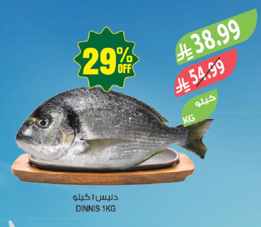 available at المزرعة in مملكة العربية السعودية, السعودية, سعودية - تبوك