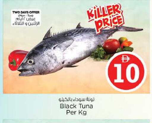 available at نستو هايبرماركت in الإمارات العربية المتحدة , الامارات - الشارقة / عجمان