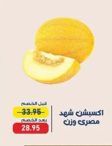 available at Exception Market in Egypt - Cairo