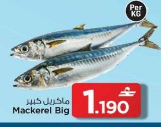 available at MARK & SAVE in Oman - Muscat