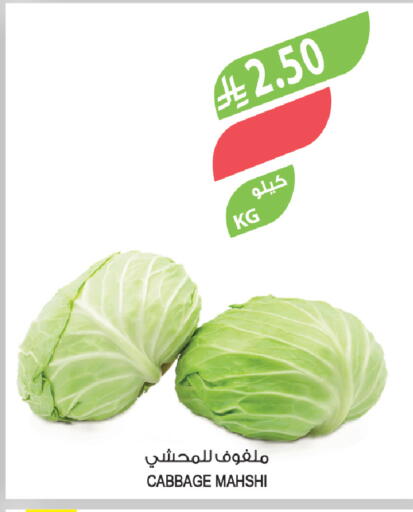 Cabbage available at المزرعة in مملكة العربية السعودية, السعودية, سعودية - حفر الباطن