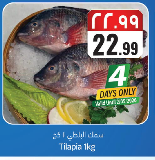 available at City Flower in KSA, Saudi Arabia, Saudi - Sakaka