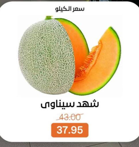 available at Beit El Gomla in Egypt - Cairo