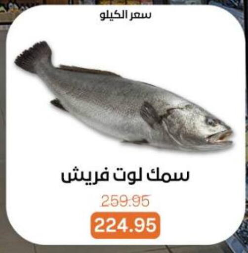 available at Beit El Gomla in Egypt - Cairo