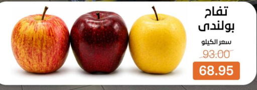 available at Beit El Gomla in Egypt - Cairo