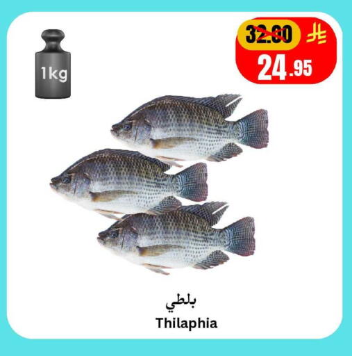 available at Surat Jeddah Markets in KSA, Saudi Arabia, Saudi - Jeddah