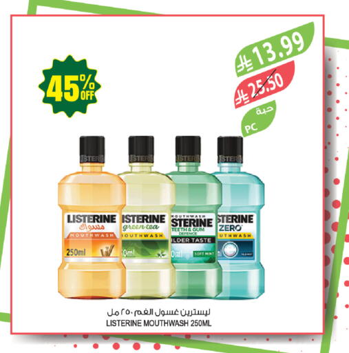 Mint available at المزرعة in مملكة العربية السعودية, السعودية, سعودية - حفر الباطن