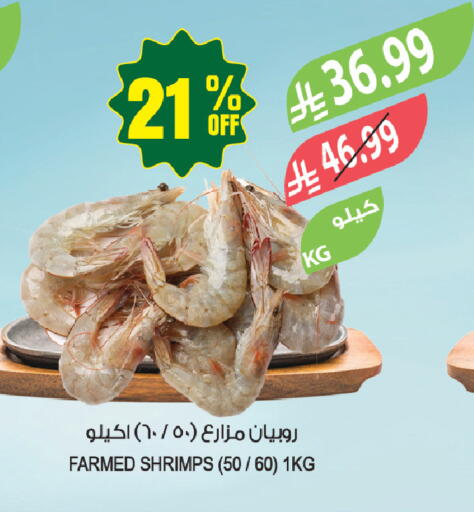 available at المزرعة in مملكة العربية السعودية, السعودية, سعودية - تبوك