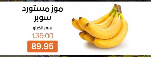 available at بيت الجملة in Egypt - القاهرة