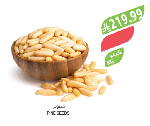 available at المزرعة in مملكة العربية السعودية, السعودية, سعودية - حفر الباطن