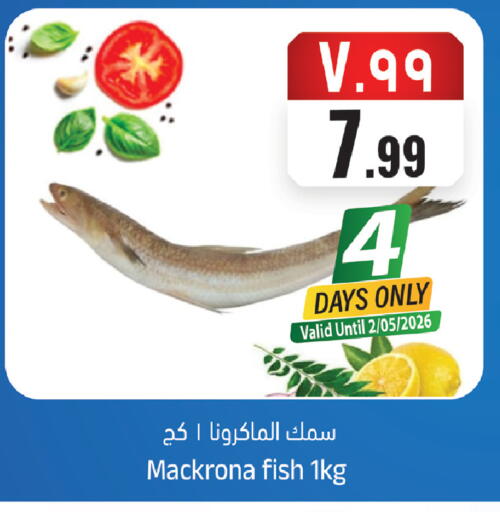 available at City Flower in KSA, Saudi Arabia, Saudi - Sakaka