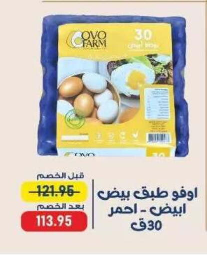 available at اكسبشن ماركت in Egypt - القاهرة