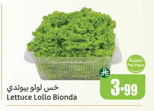 Lettuce available at أسواق عبد الله العثيم in مملكة العربية السعودية, السعودية, سعودية - تبوك
