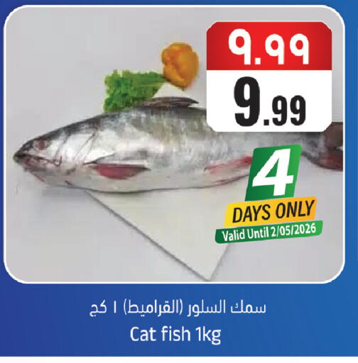 available at City Flower in KSA, Saudi Arabia, Saudi - Sakaka