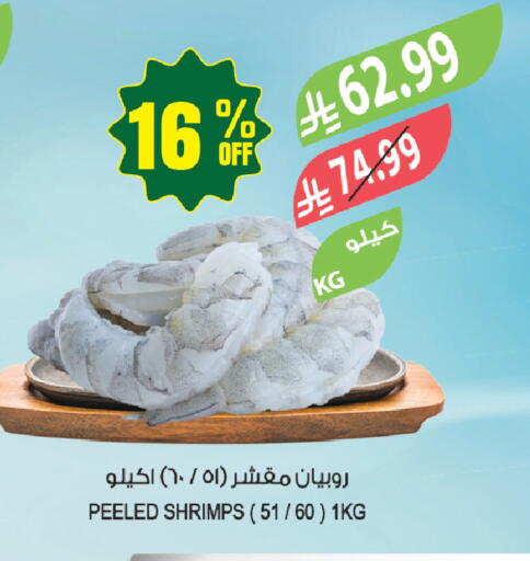 available at المزرعة in مملكة العربية السعودية, السعودية, سعودية - تبوك