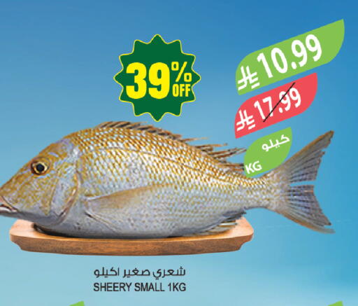 available at المزرعة in مملكة العربية السعودية, السعودية, سعودية - تبوك