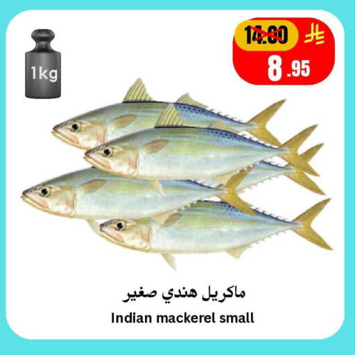 available at Surat Jeddah Markets in KSA, Saudi Arabia, Saudi - Jeddah