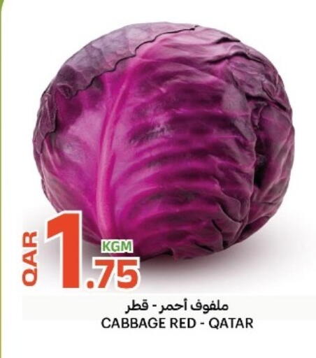 Cabbage from Qatar available at البلدي اليوم in قطر - الدوحة