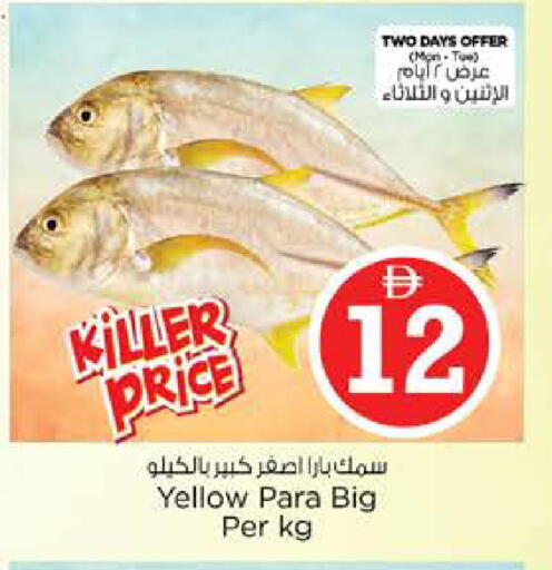 available at نستو هايبرماركت in الإمارات العربية المتحدة , الامارات - الشارقة / عجمان