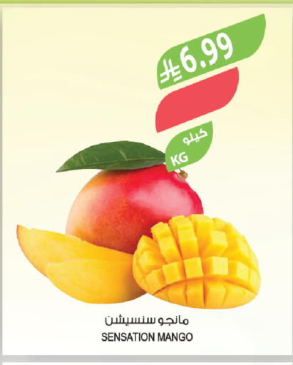 Mango available at Farm  in KSA, Saudi Arabia, Saudi - Hafar Al Batin