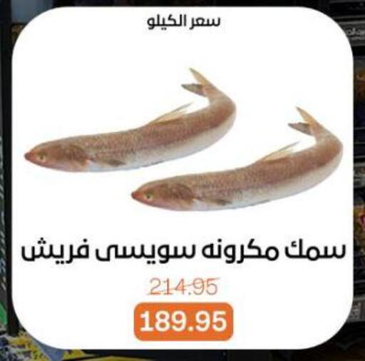 available at Beit El Gomla in Egypt - Cairo