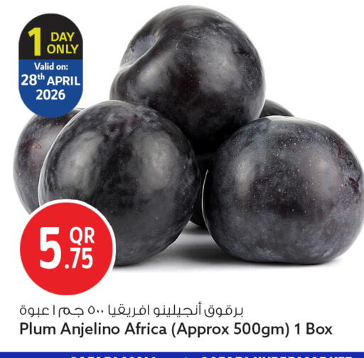 Plum available at سفاري هايبر ماركت in قطر - الشمال