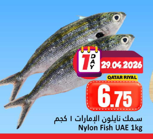 available at دانة هايبرماركت in قطر - الضعاين