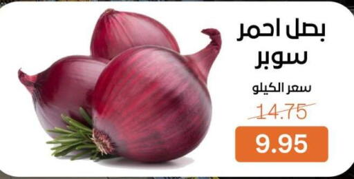 available at Beit El Gomla in Egypt - Cairo