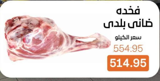 available at Beit El Gomla in Egypt - Cairo