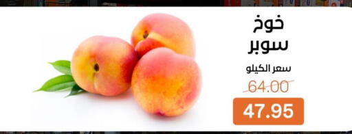 available at بيت الجملة in Egypt - القاهرة