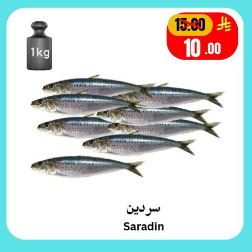 available at Surat Jeddah Markets in KSA, Saudi Arabia, Saudi - Jeddah