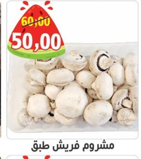 available at أولاد حسان in Egypt - القاهرة