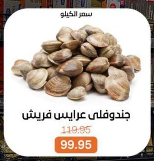 available at Beit El Gomla in Egypt - Cairo