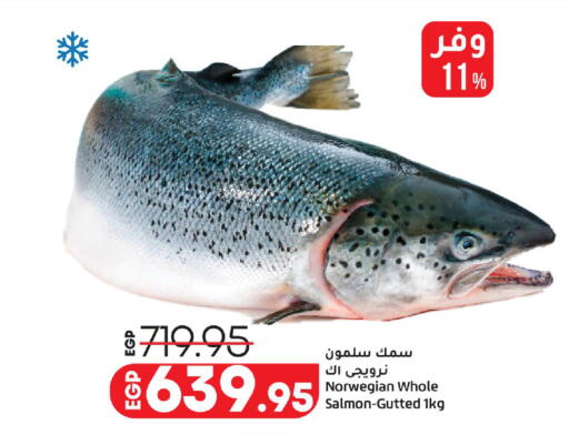 available at Lulu Hypermarket  in Egypt - Cairo