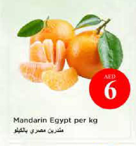 Mandarin from Egypt available at Last Chance  in UAE - Fujairah