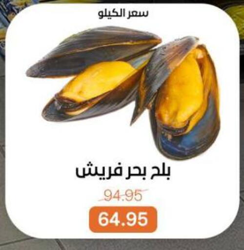 available at Beit El Gomla in Egypt - Cairo